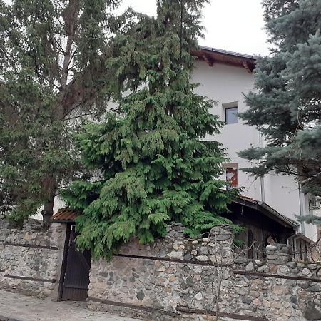 Guest House Khizhina - Easy Home Szapareva Banja Kültér fotó