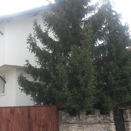 Guest House Khizhina - Easy Home Szapareva Banja Kültér fotó