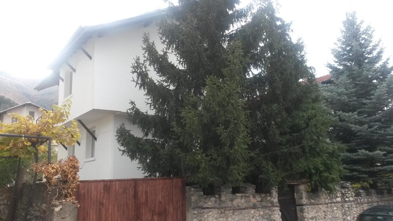 Guest House Khizhina - Easy Home Szapareva Banja Kültér fotó